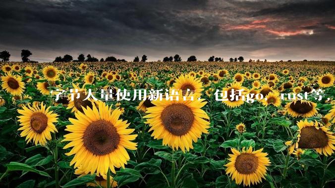 字节大量使用新语言，包括go，rust等，为什么阿里一直都抱着j***a不松手？