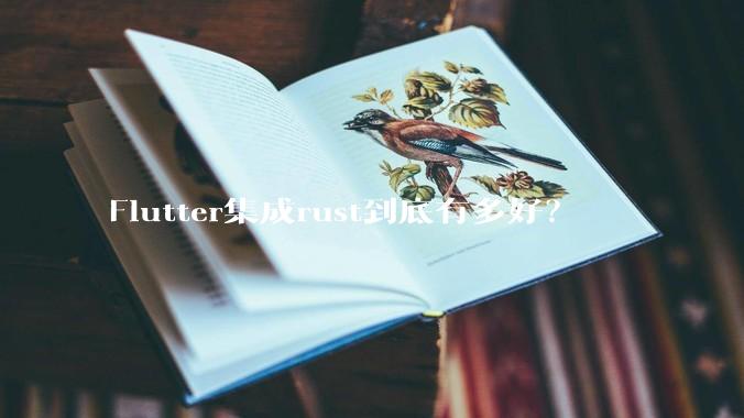Flutter集成rust到底有多好？